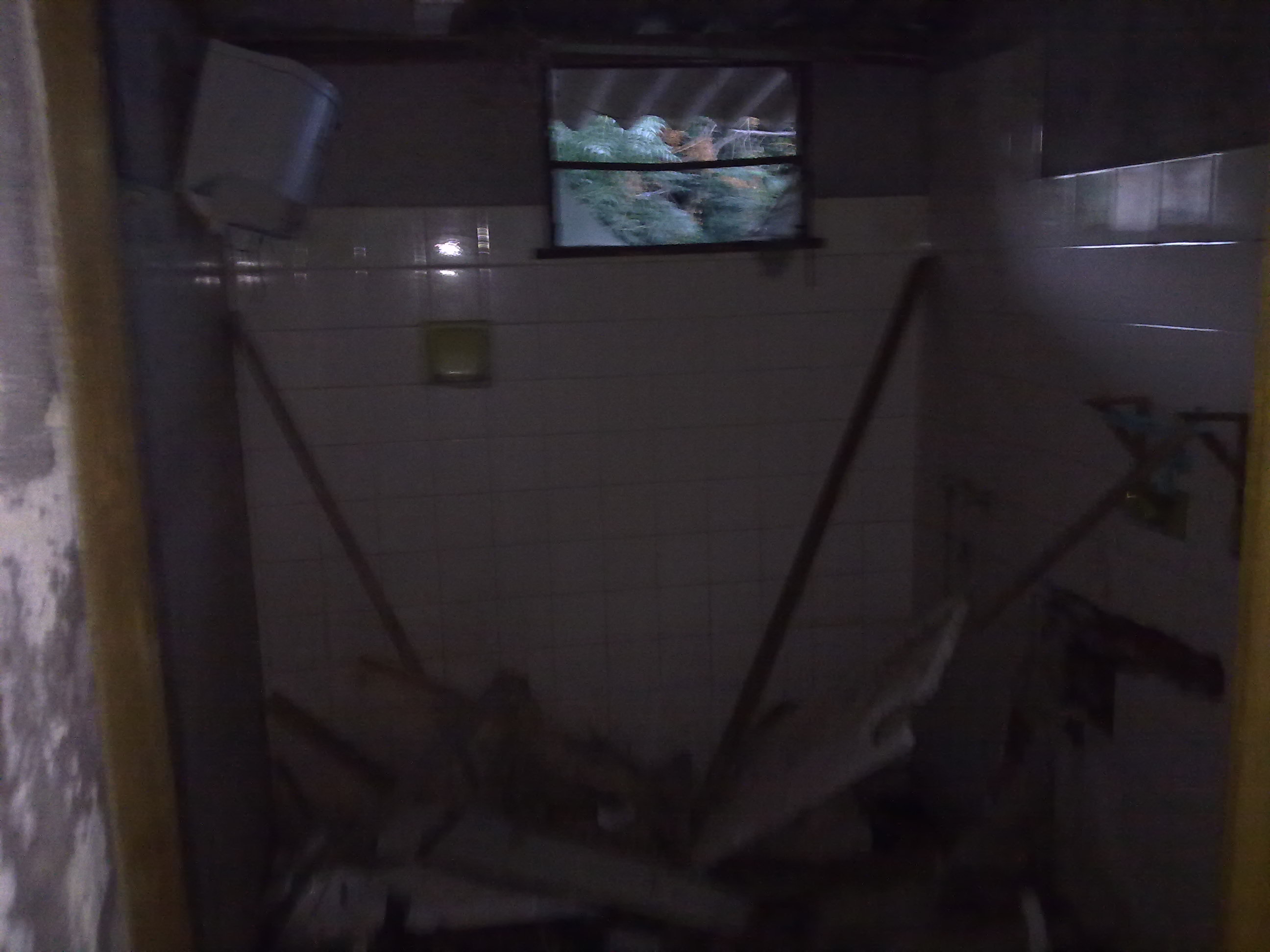 fotos/2012-11-12 - Tereno y cena Osvaldo/10032012206.jpg